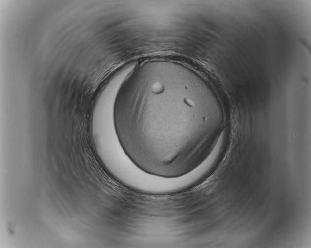 X0000099541257200806131141