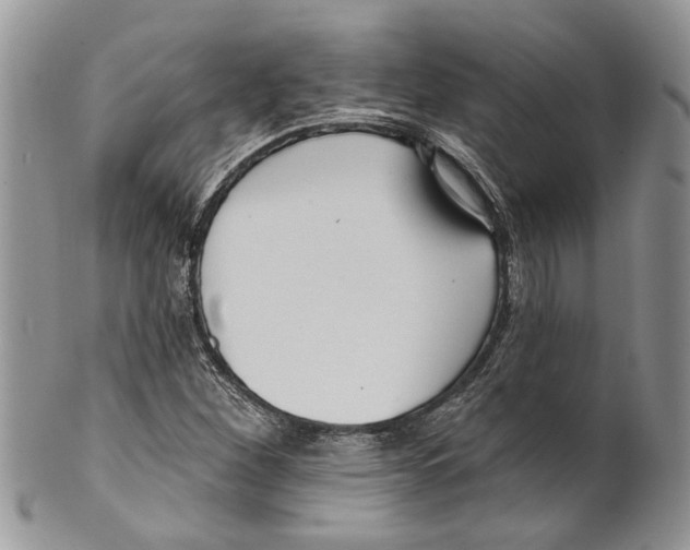 X0000099541260200806131141