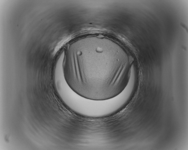 X0000099541261200806131141