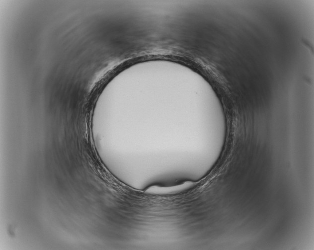 X0000099541262200806131141