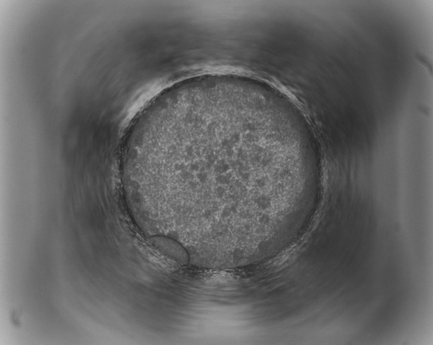 X0000099541263200806131141