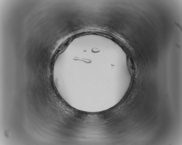 X0000099541264200806131141