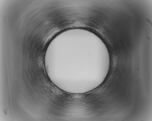 X0000099541266200806131141