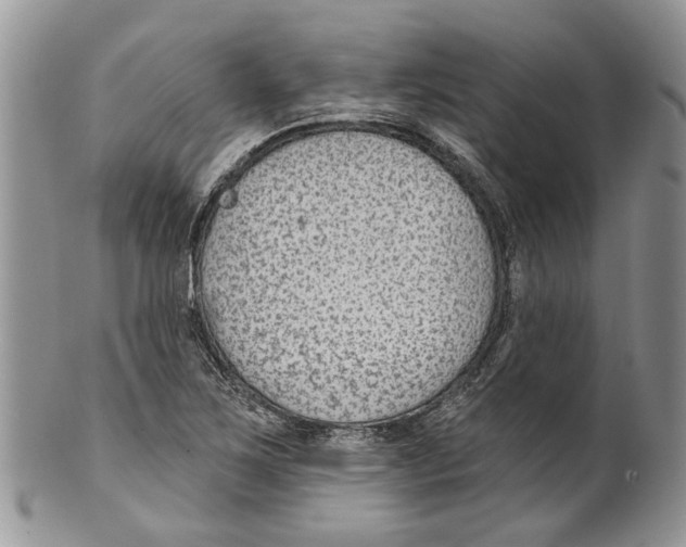 X0000099541267200806131141