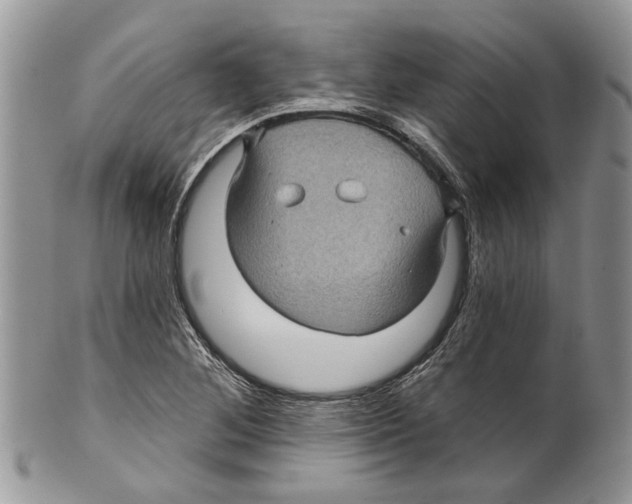 X0000099541268200806131141