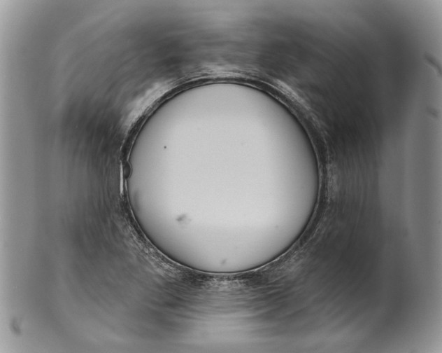 X0000099541269200806131141