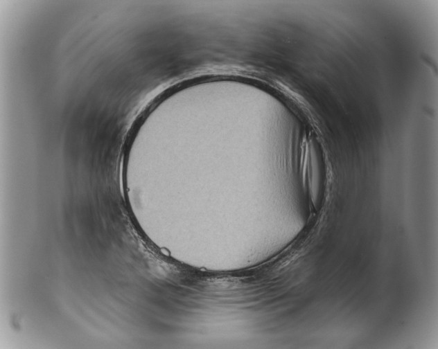 X0000099541272200806131141