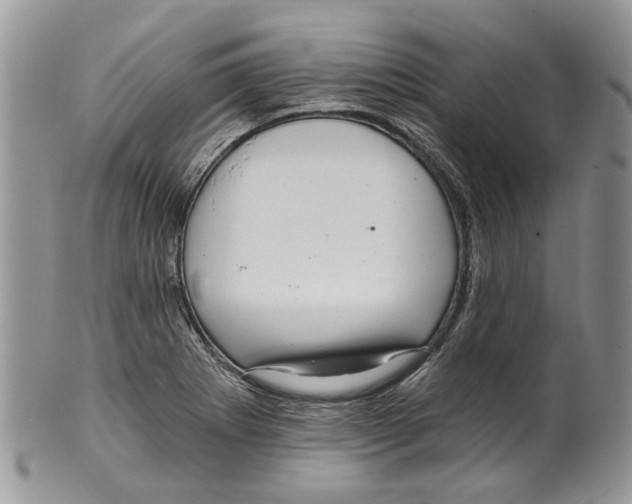 X0000099541273200806131141