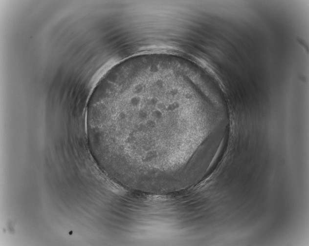 X0000099541275200806131141