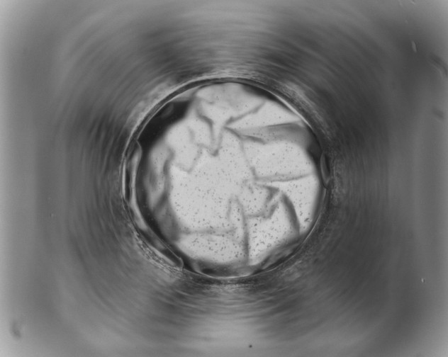 X0000099541276200806131141