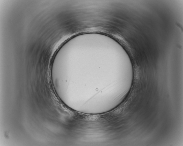 X0000099541278200806131141