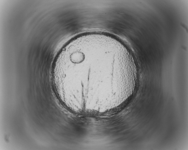 X0000099541279200806131141