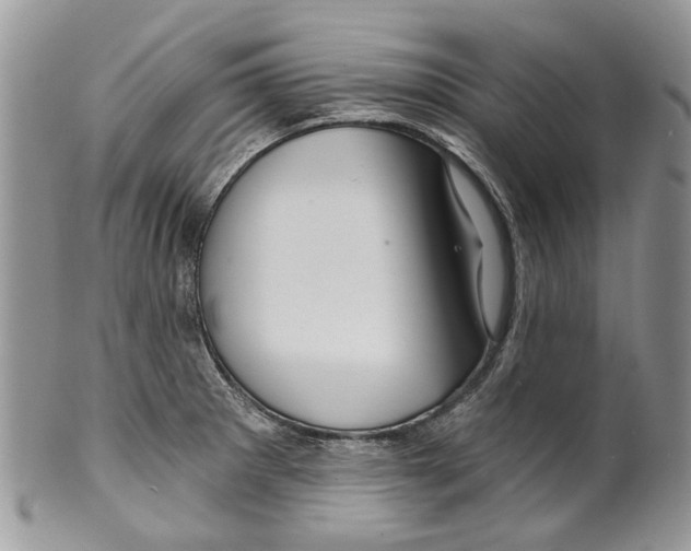 X0000099541281200806131141