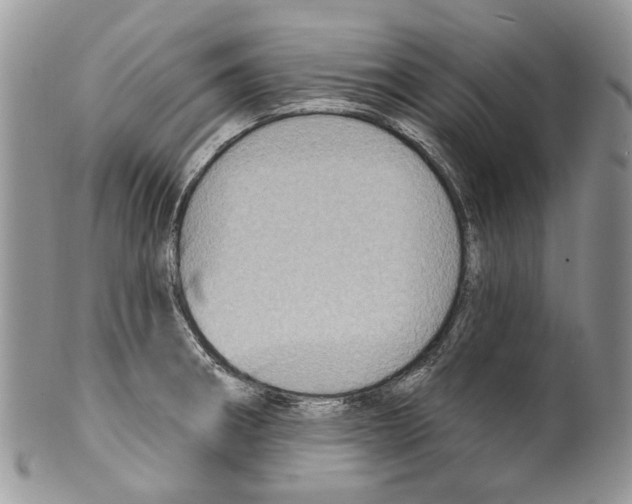 X0000099541282200806131141