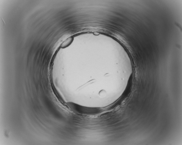 X0000099541283200806131141