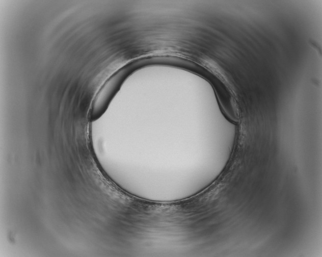 X0000099541284200806131141