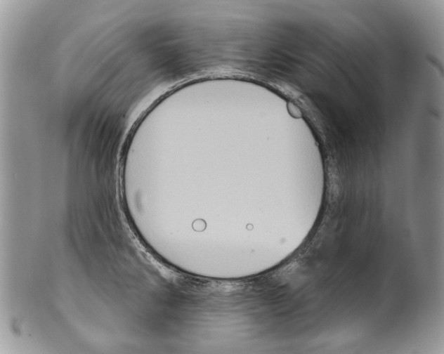 X0000099541286200806131141