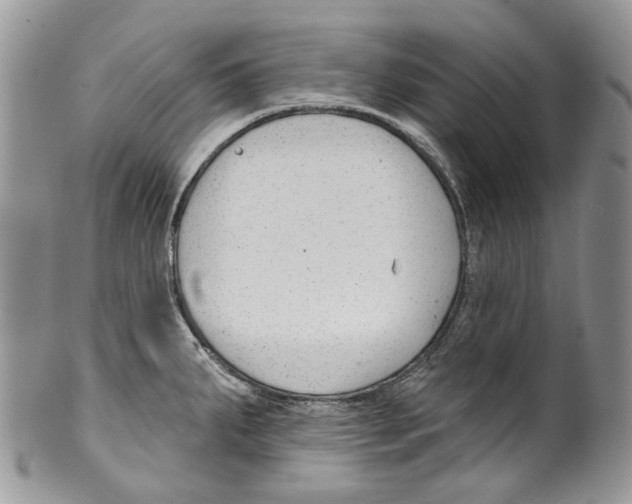 X0000099541287200806131141