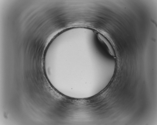 X0000099541288200806131141