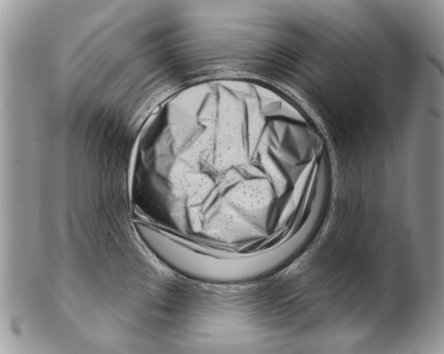 X0000099541289200806131141