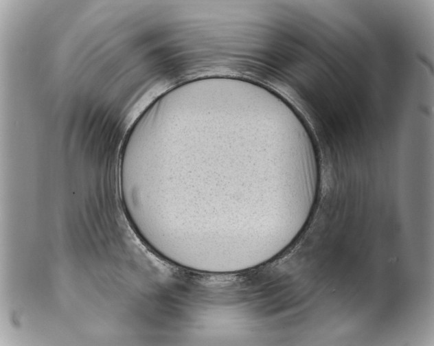 X0000099541290200806131141