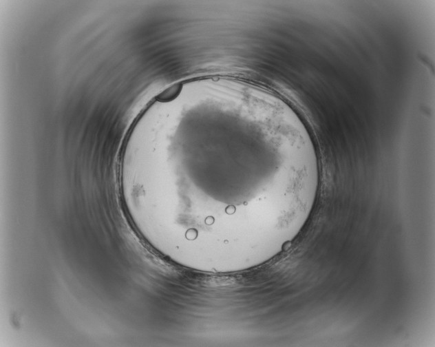 X0000099541291200806131141