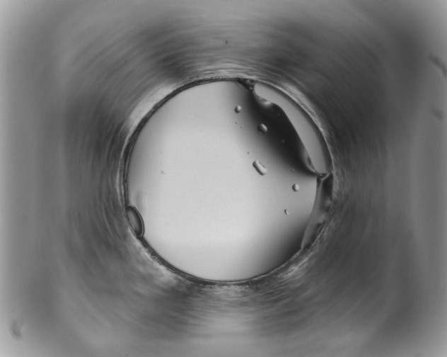 X0000099541293200806131141