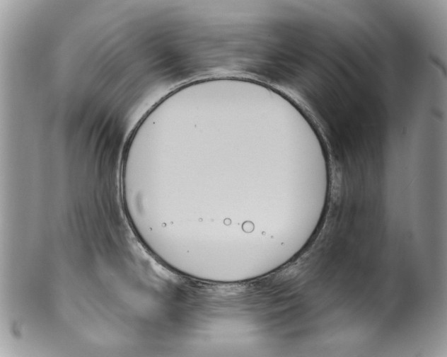 X0000099541294200806131141