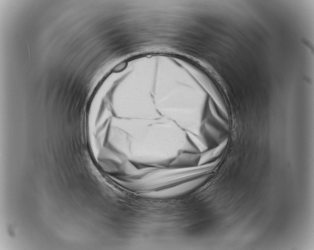 X0000099541295200806131141