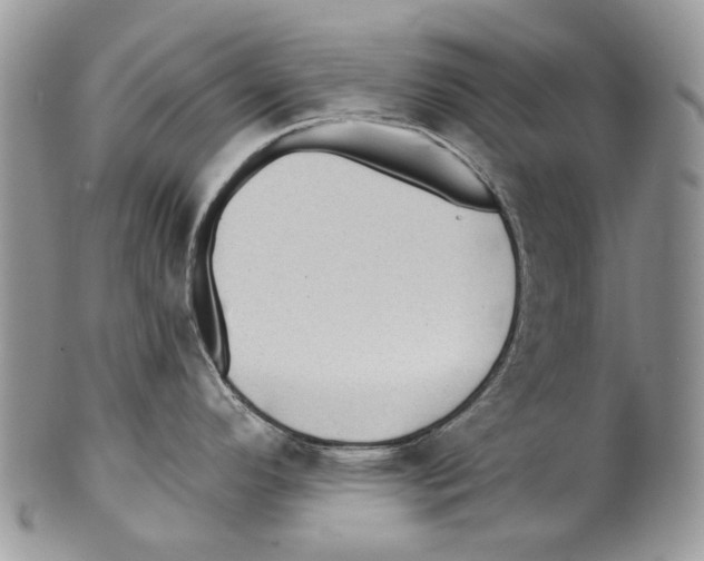 X0000099541296200806131141