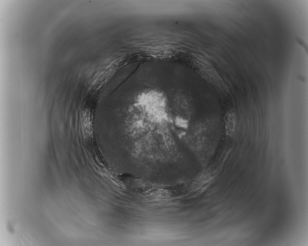 X0000099541298200806131140