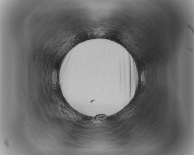 X0000099541299200806131140