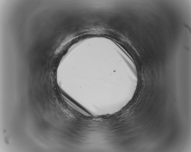 X0000099541304200806131140