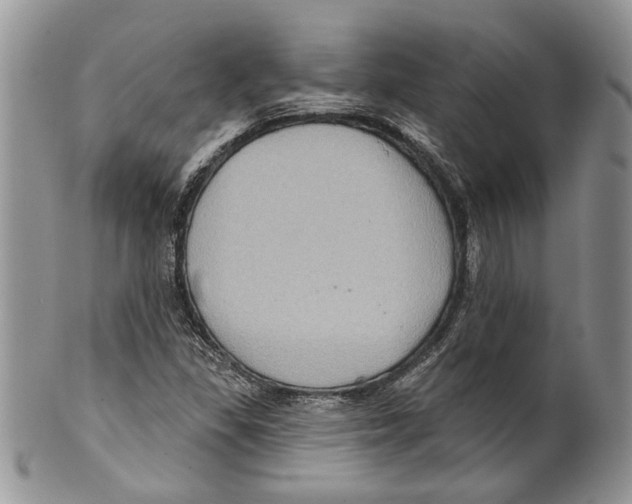 X0000099541309200806131140