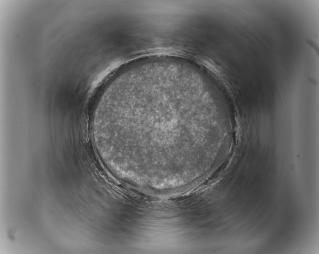 X0000099541310200806131140