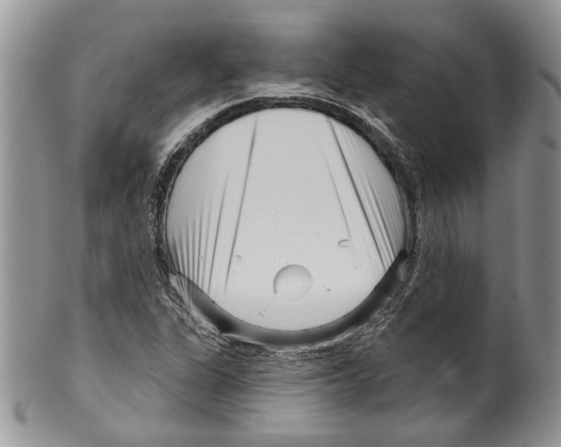 X0000099541311200806131140