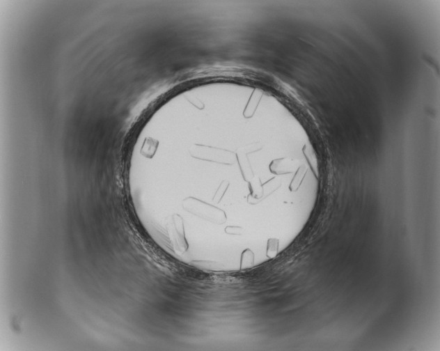 X0000099541312200806131140
