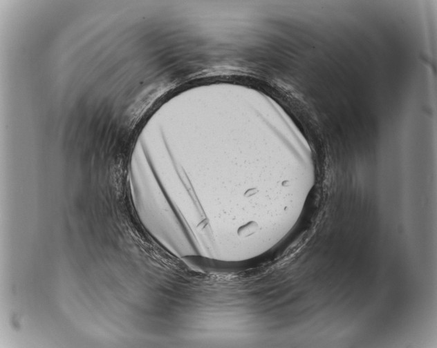 X0000099541313200806131140