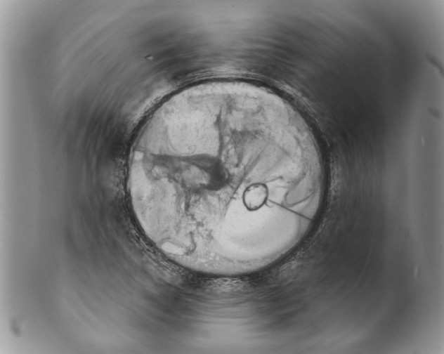 X0000099541314200806131140