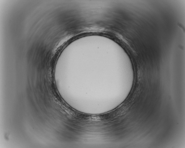 X0000099541315200806131140