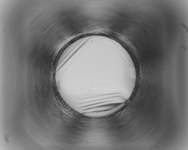 X0000099541316200806131140