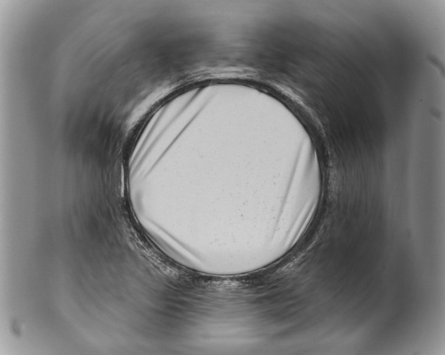 X0000099541317200806131140