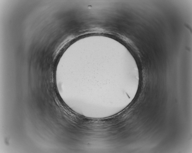 X0000099541318200806131140