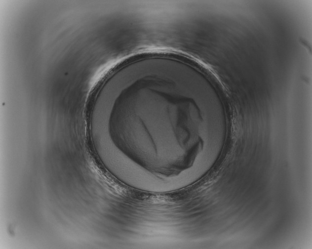 X0000099541319200806131140