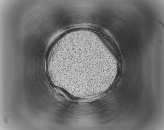 X0000099541320200806131140