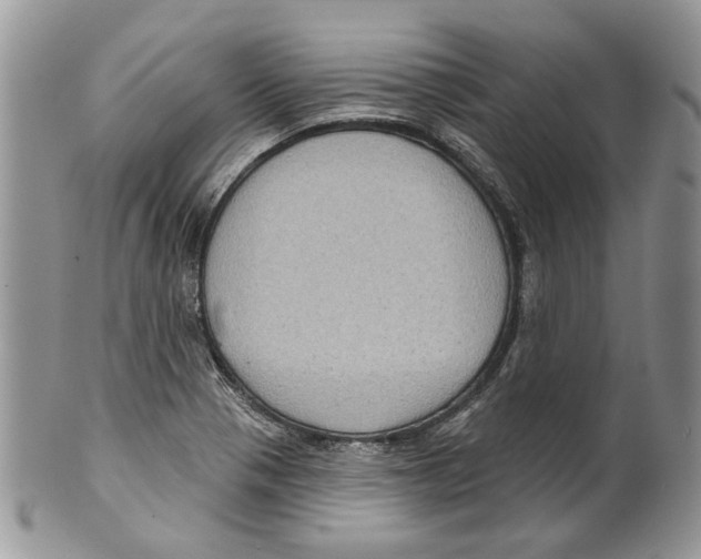 X0000099541321200806131140