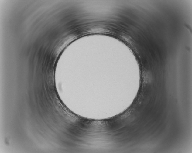 X0000099541322200806131140