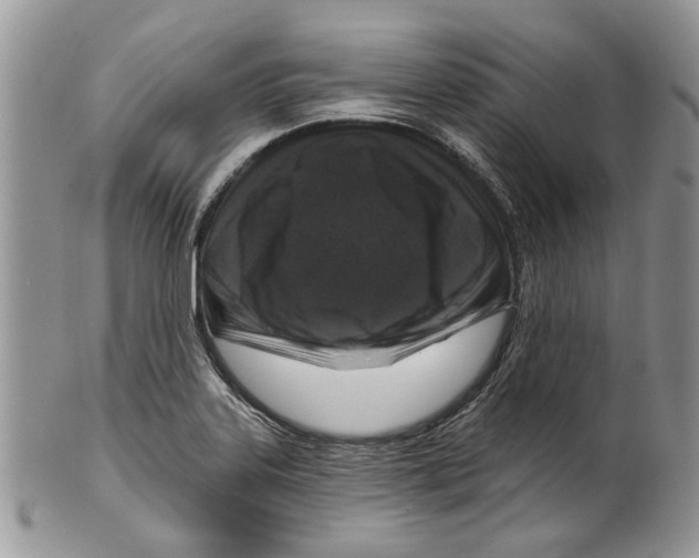 X0000099541323200806131140