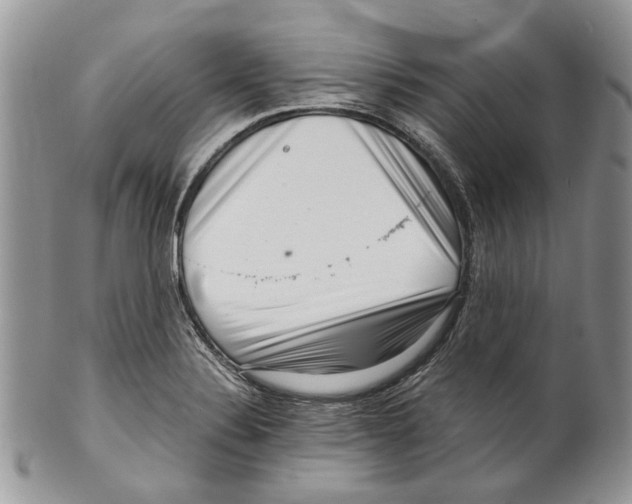 X0000099541324200806131140