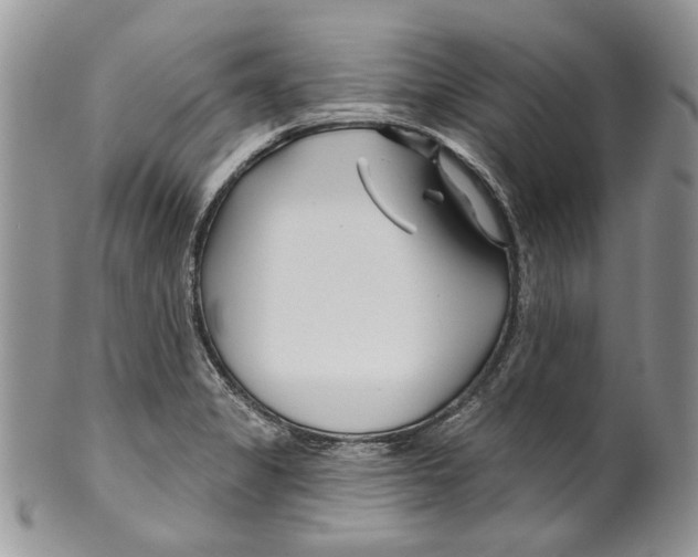 X0000099541325200806131140